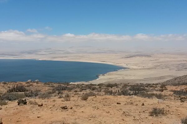 Una vista a Arica y el Pacífico