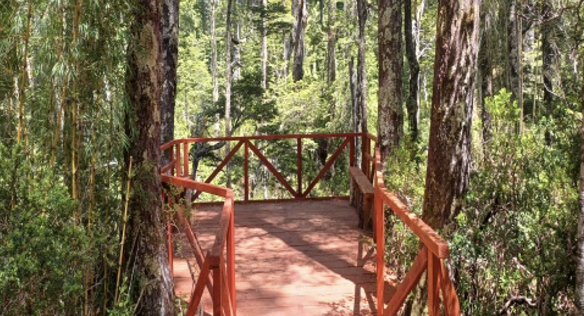 Sendero de inclusión y para adultos mayores en Parque Nacional Villarrica