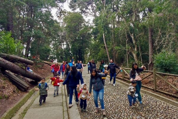 Salgamos a Conocer los Mesomamíferos Nativos que co-habitan en los Cerros del Gran Concepción