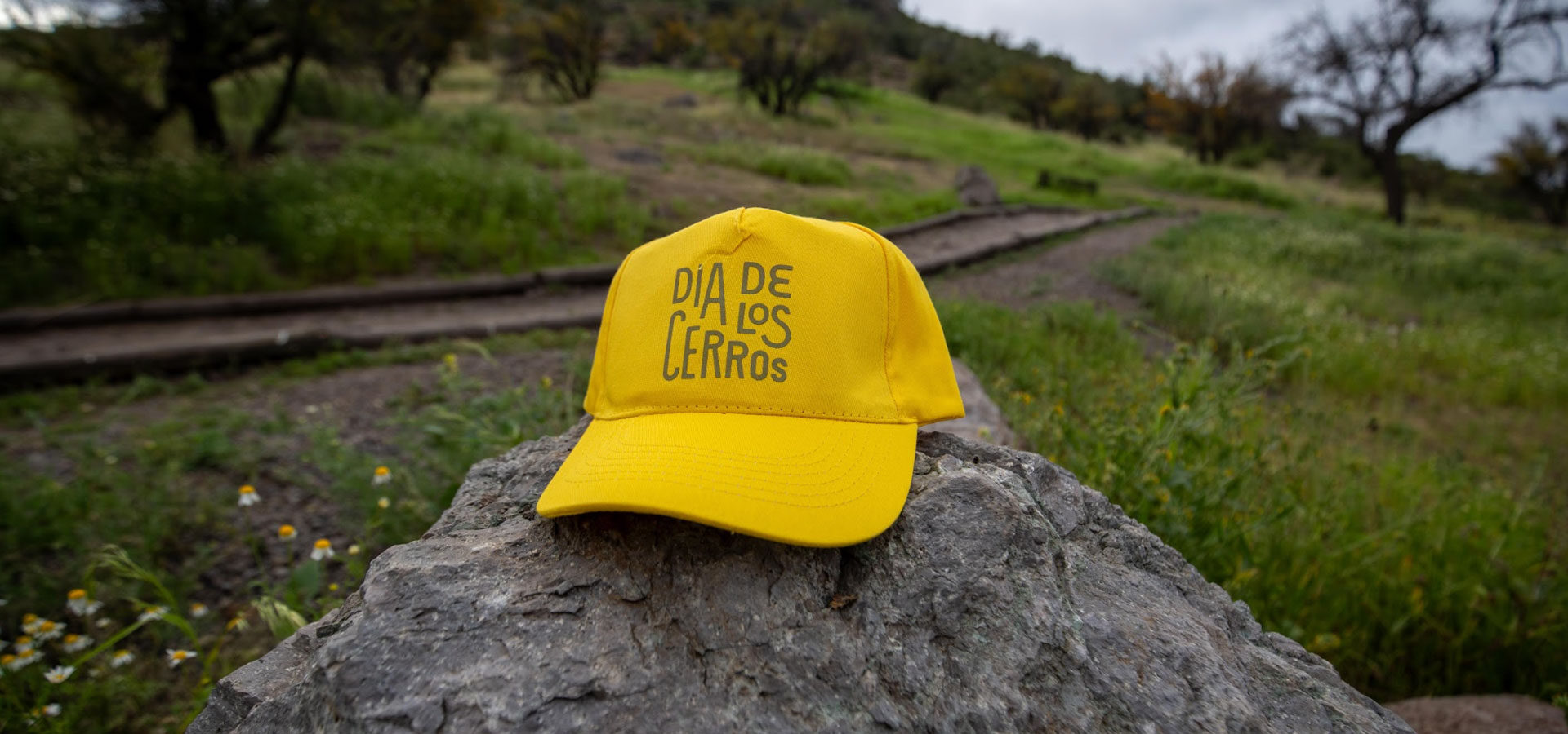 Manifiesto / Día de los cerros