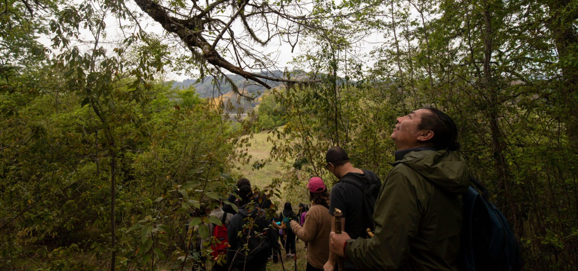 Manifiesto / Día de los cerros