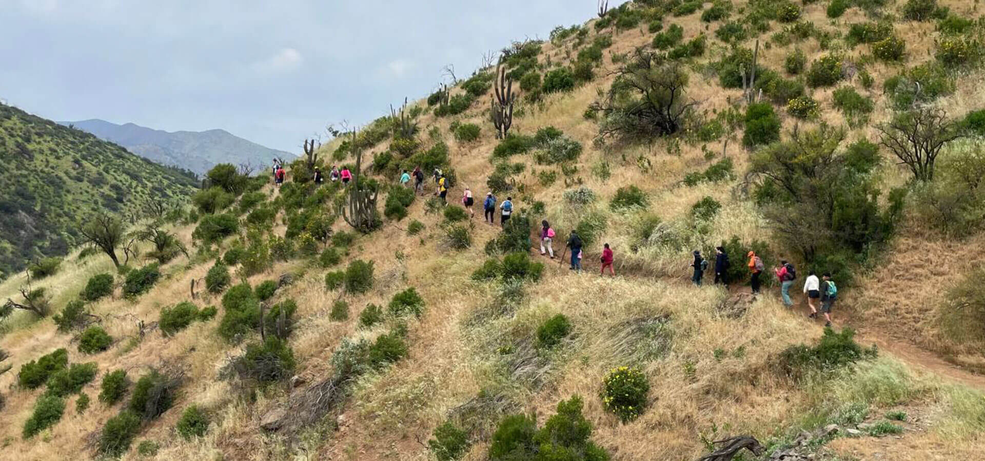 Manifiesto / Día de los cerros