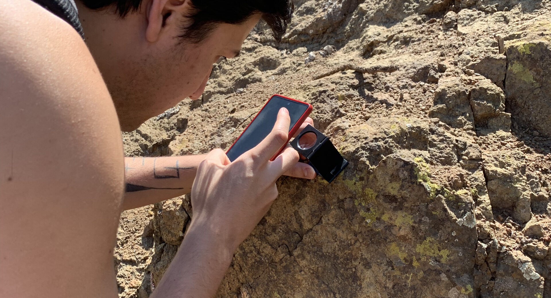 Ciencia ciudadana en el Cerro Amapola