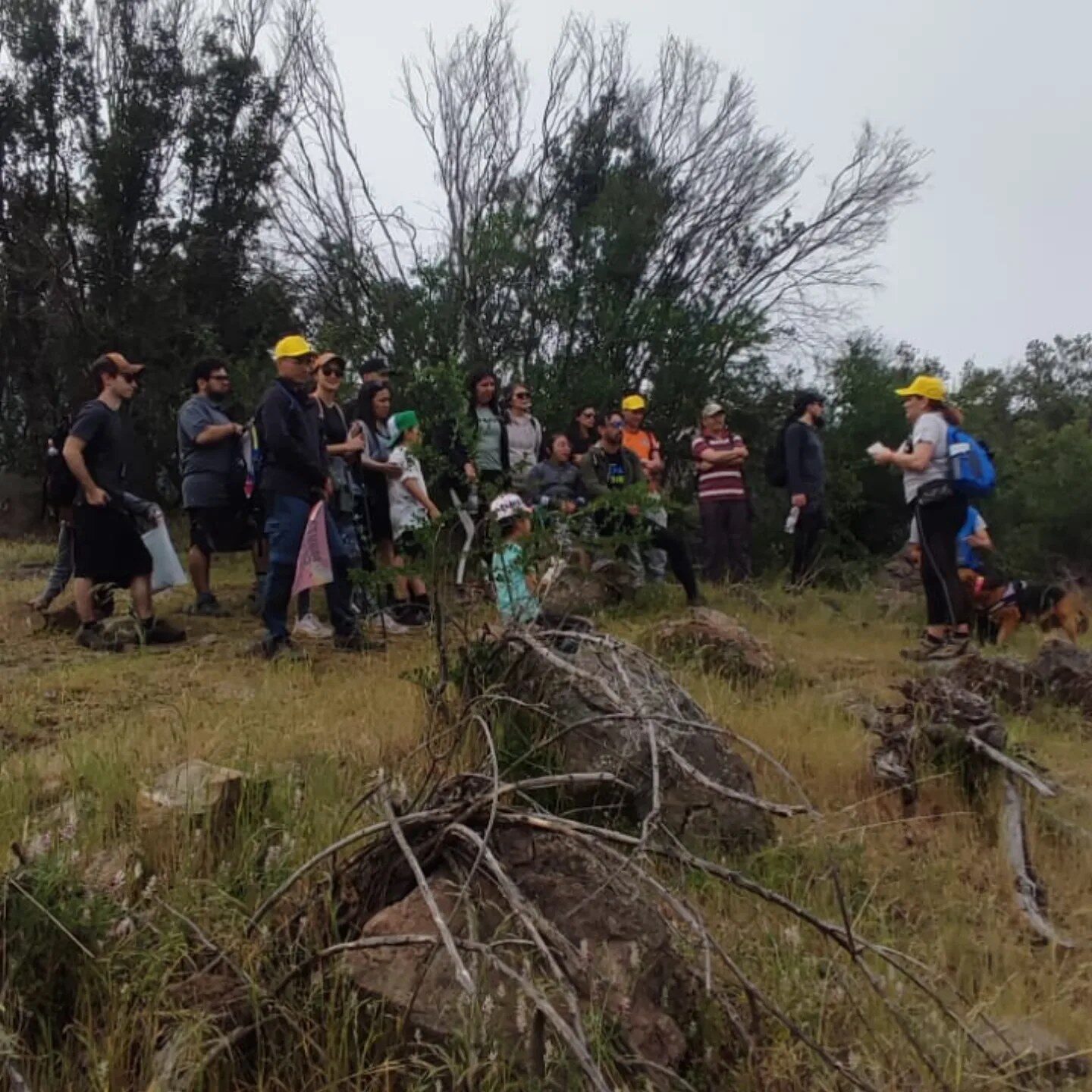 Aprendamos en el cerrito. «La naturaleza en la música»