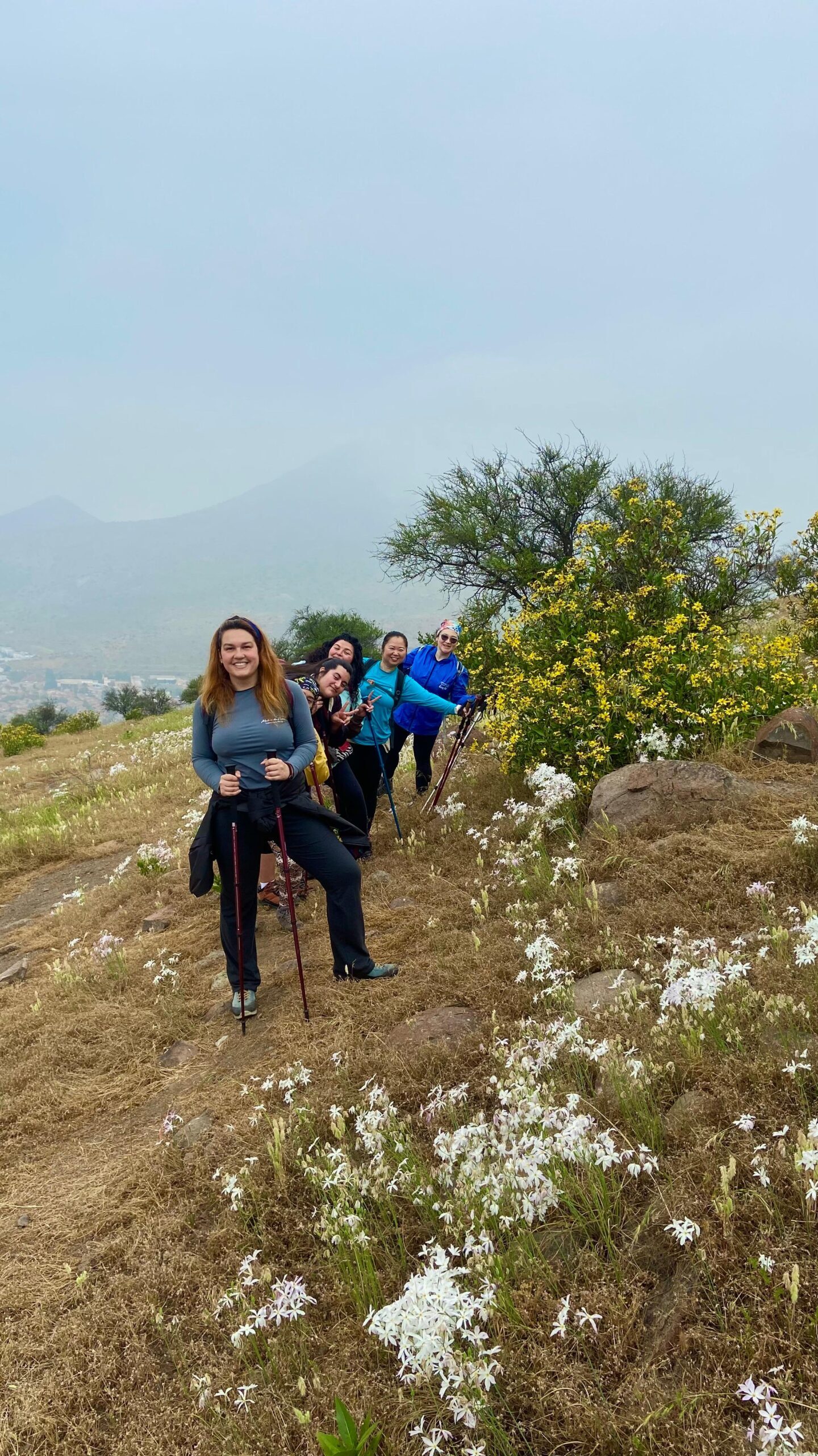 Ruta de las Flores – Cerro Calán