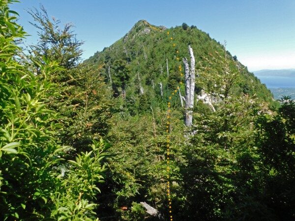 Andeshandbook recomienda: Excursión Cerro Diuco