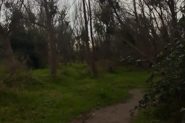 Caminatas Sensitivas