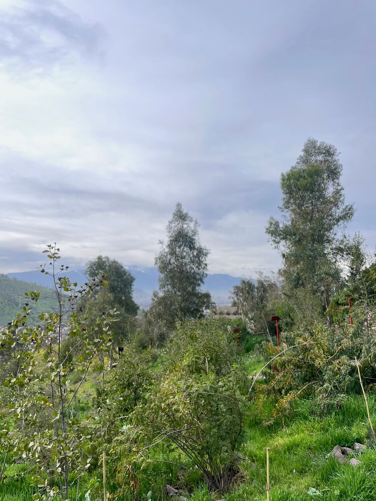Caminata Exploratoria junto a Cultiva en el Cerro Colorado