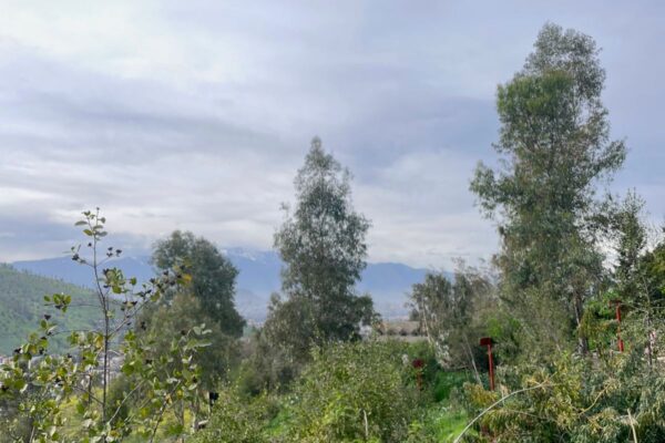 Caminata Exploratoria junto a Cultiva en el Cerro Colorado