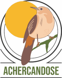 Fundación Achercándose