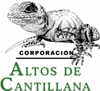 ONG Corporación Altos de Cantillana