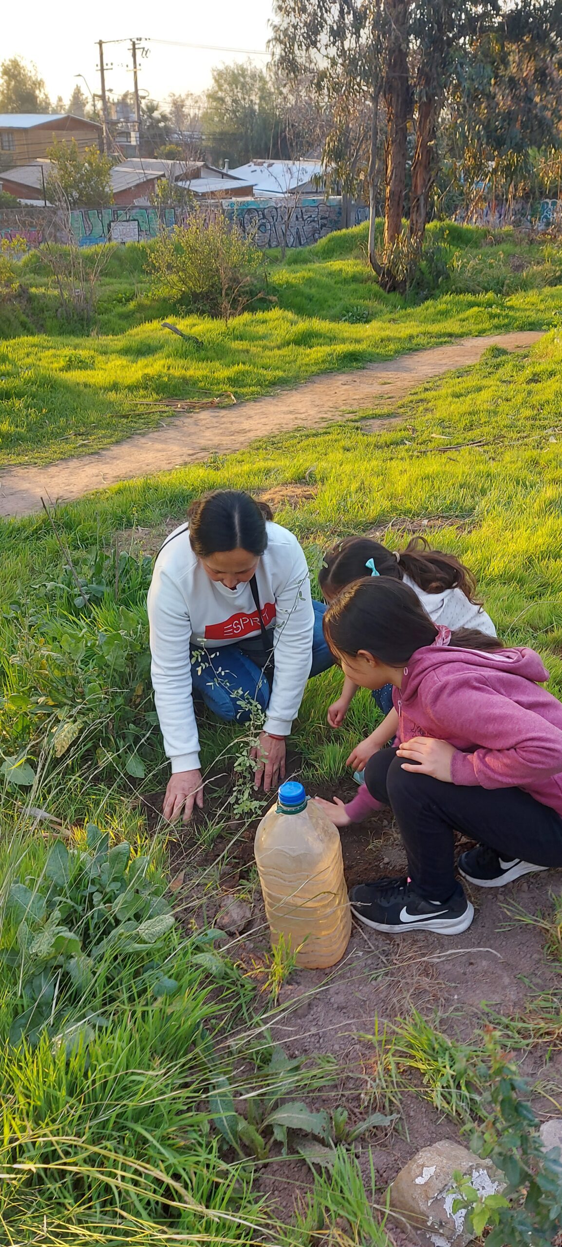 Plantando Recuerdos