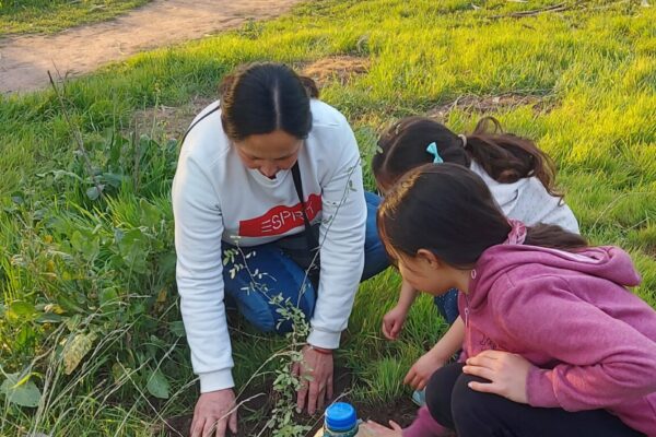 Plantando Recuerdos