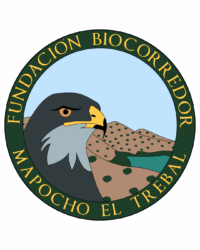Fundación Biocorredor Mapocho El Trebal