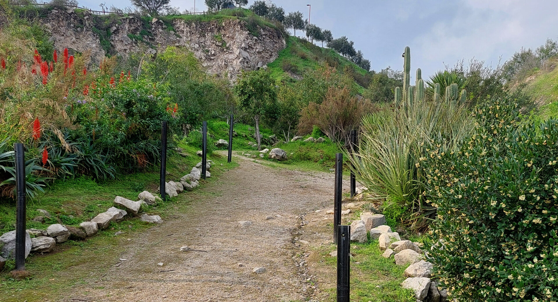 Observa, Camina y Escribe el Cerro: Ciencia y Haikus en Cerro Blanco