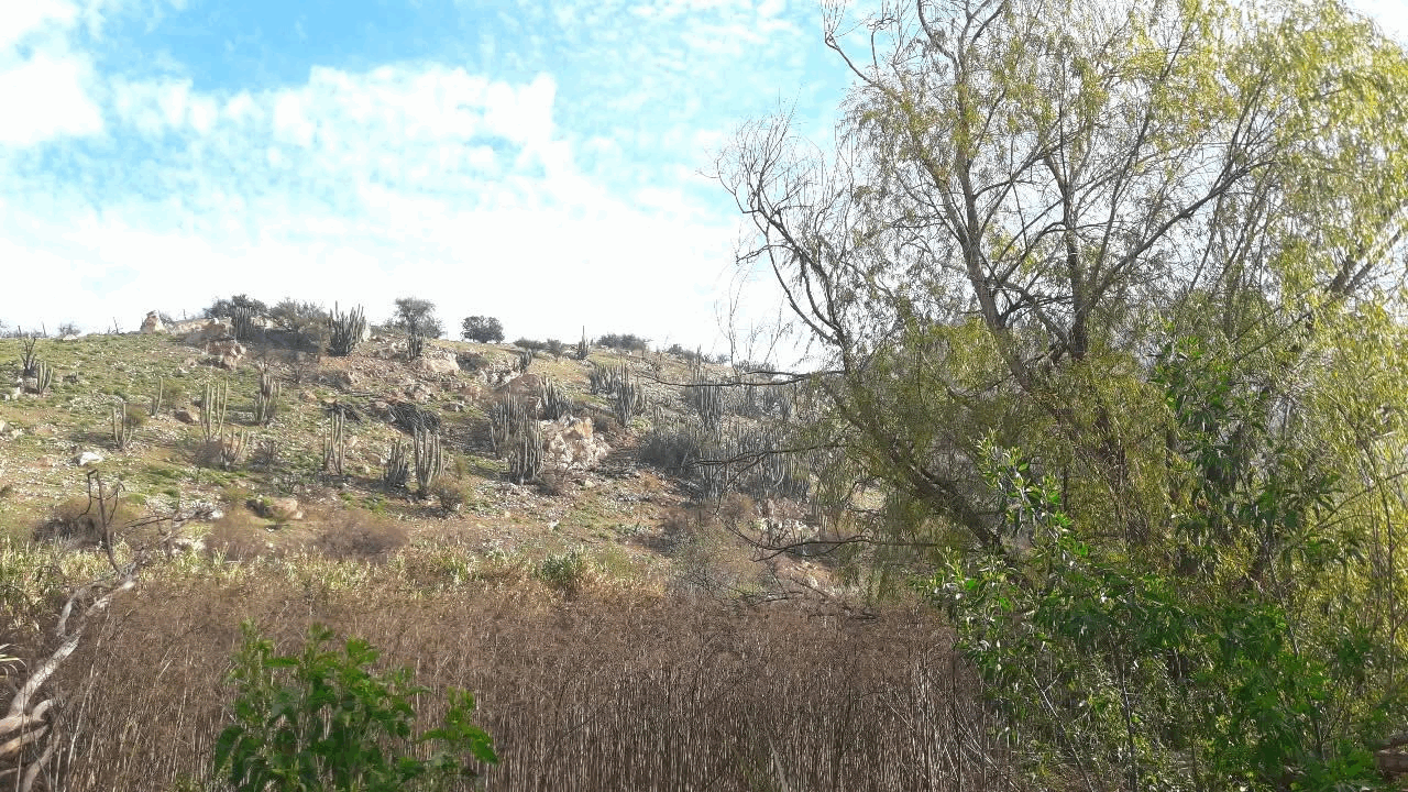 Descubriendo el Cerro isla Lo Aguirre: sector Cerro La Bandera y su unión con el Mapocho