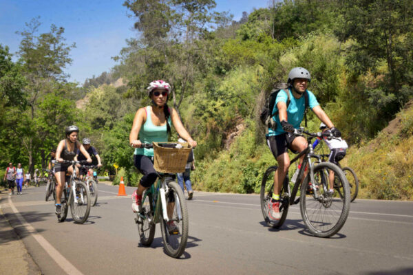 Pedaleando hasta la cima: Descubre la biodiversidad del cerro San Cristóbal