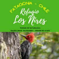 Refugio Los Ñires