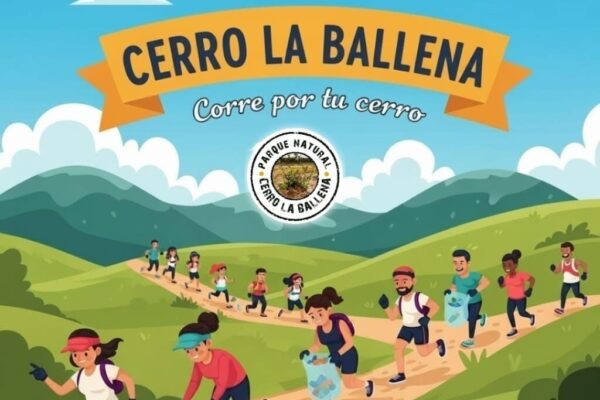 Trail Cerro la Ballena: corre por tu cerro