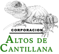 ONG Corporación Altos de Cantillana 