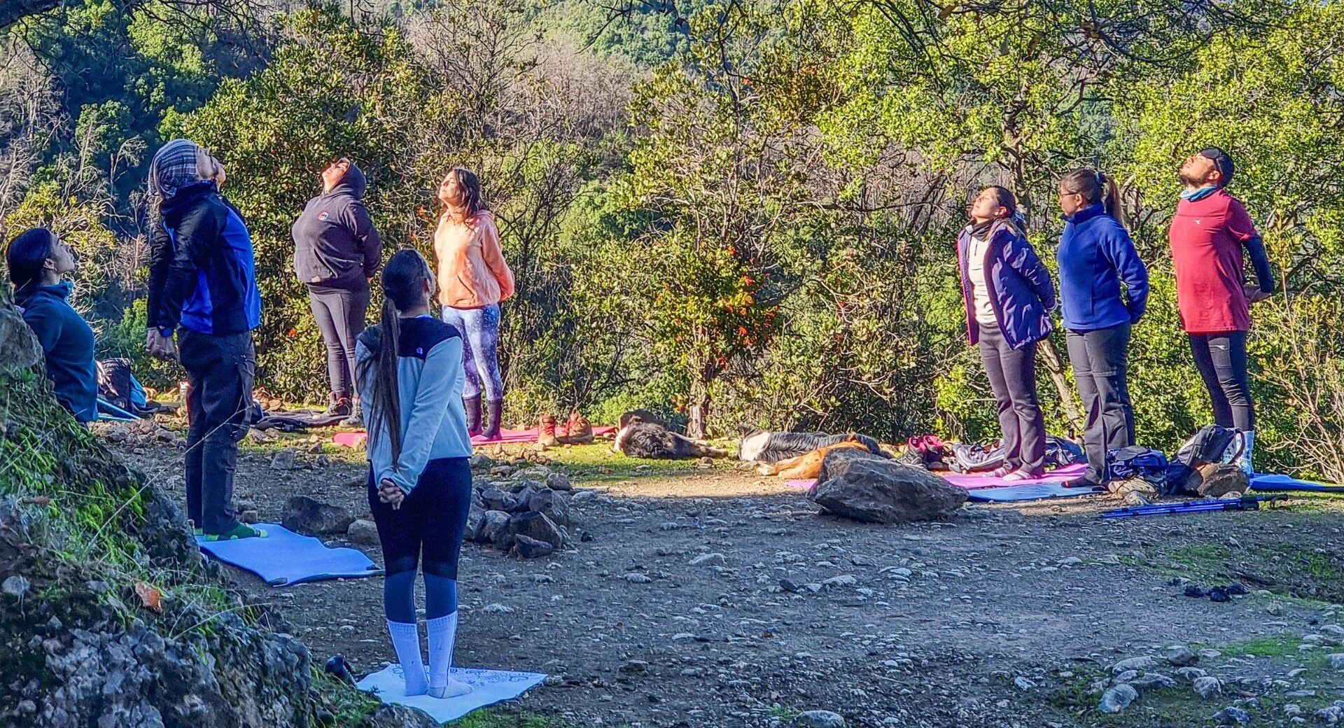 Desde lo Alto: Conoce Mirador El Copihue en el Día de los Cerros