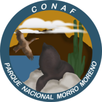 Corporación Nacional Forestal