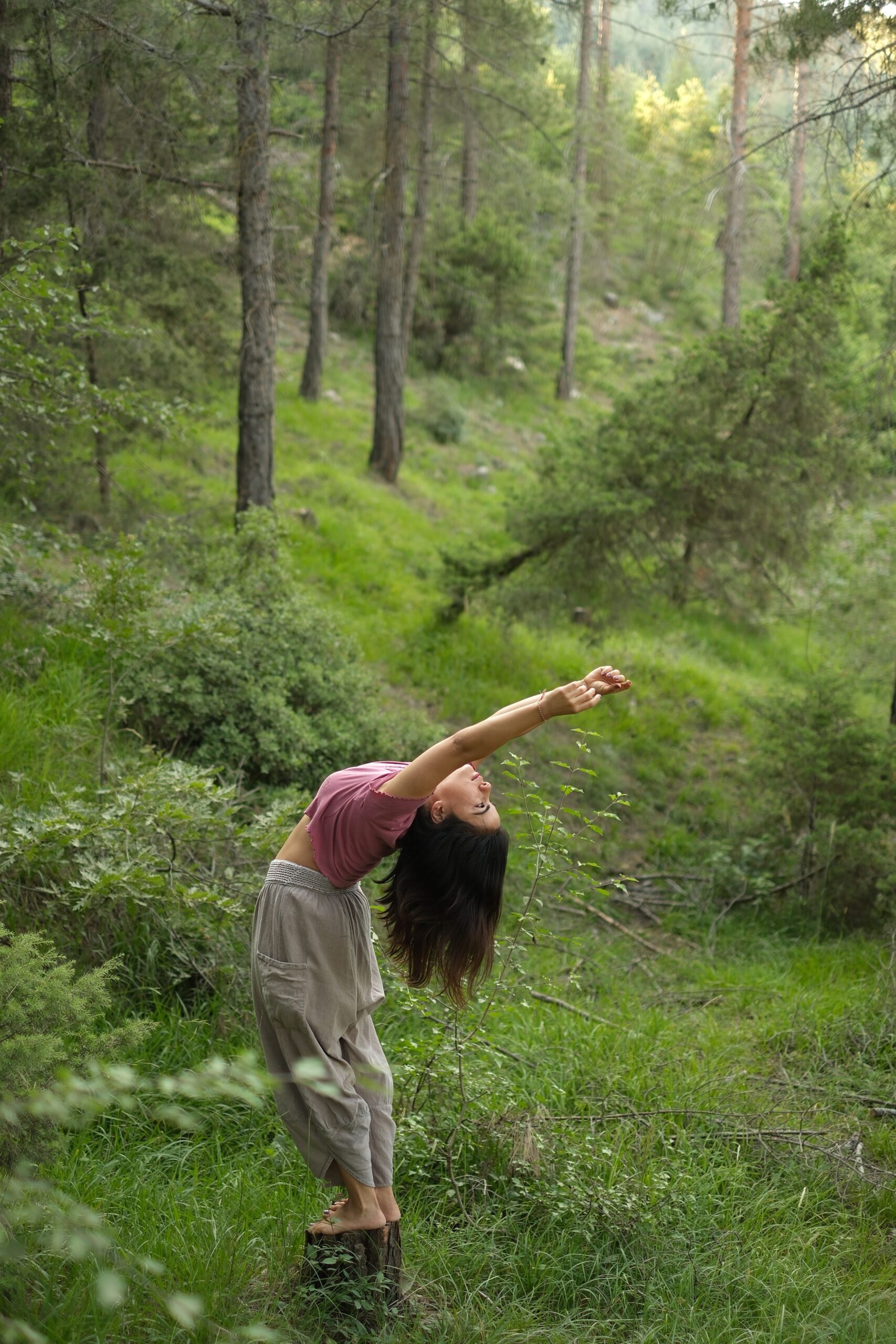 «Recorrido sensible en el Konün Wenu» baño de bosque y práctica ecosomática