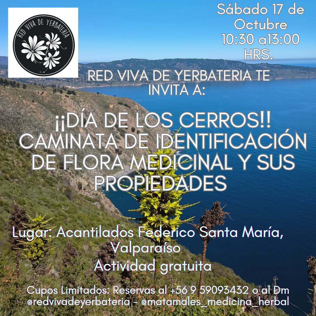 Recorramos nuestro santuario e identifiquemos flora medicinal
