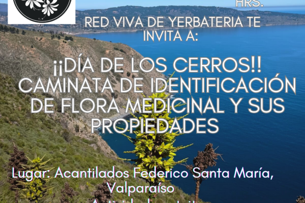 Recorramos nuestro santuario e identifiquemos flora medicinal