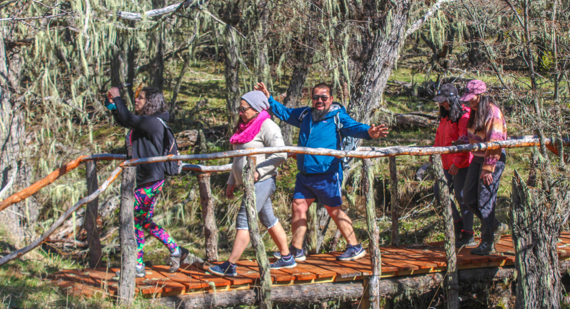 Caminata entre bosques de Ñire y Lenga