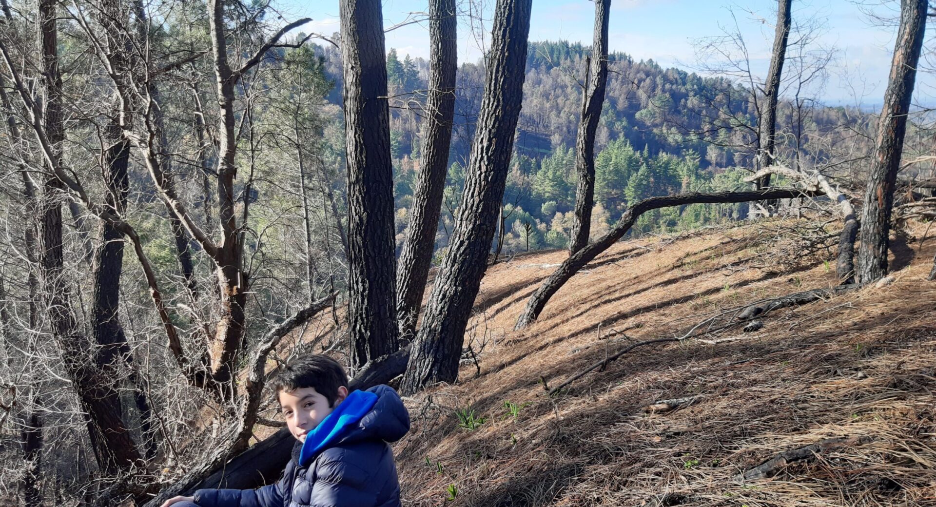 Cerro Arriba, Cerro Abajo