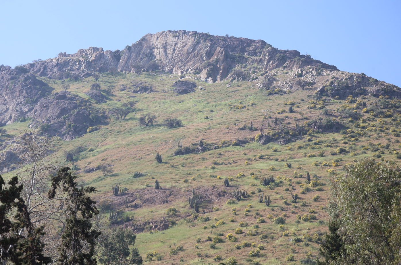 Ladera Norte: Naturaleza que nos une