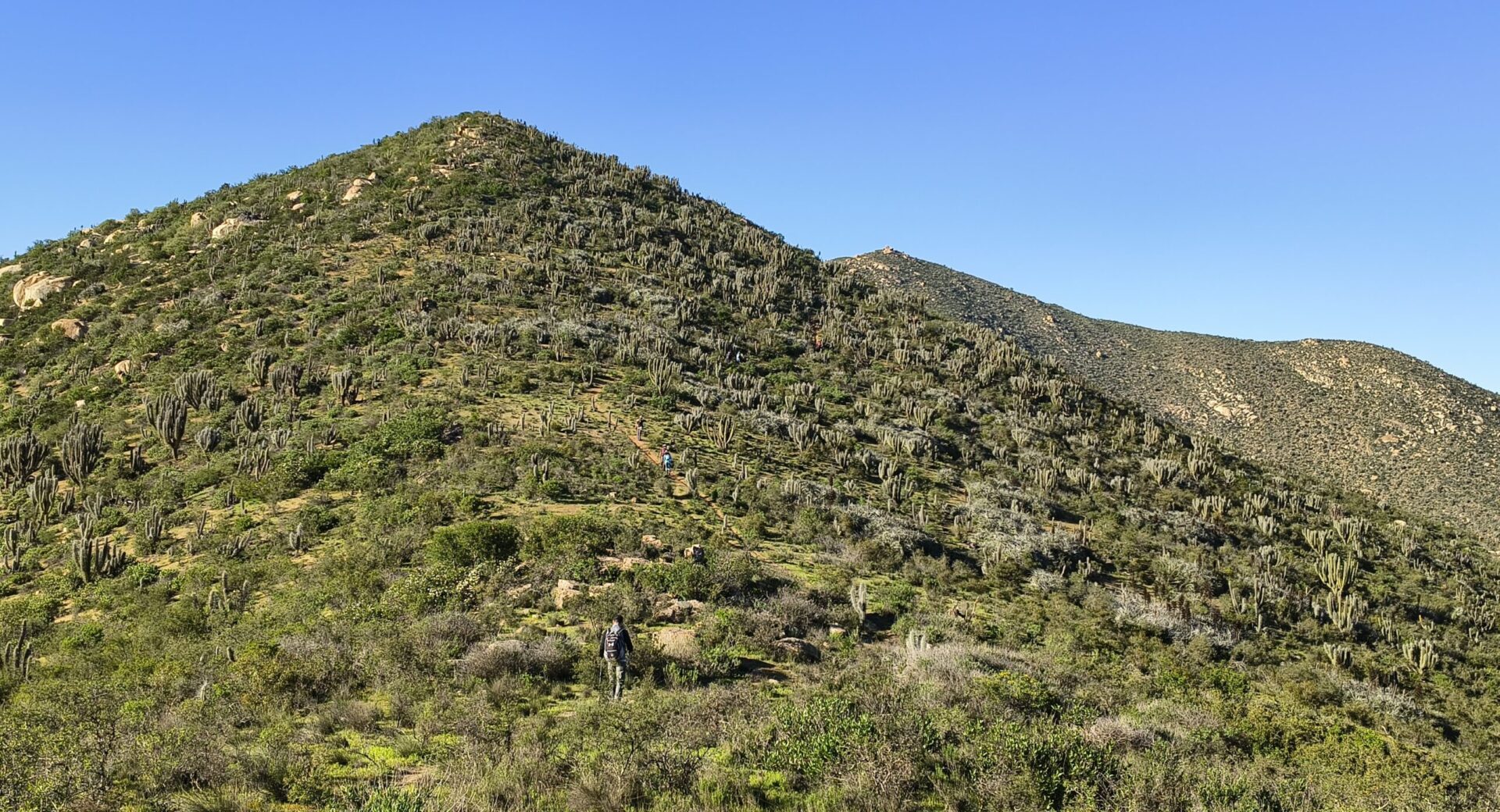 «Trekking Cerro Águila y Tres Puntas» Descubriendo la vida que habita en nuestros cerros