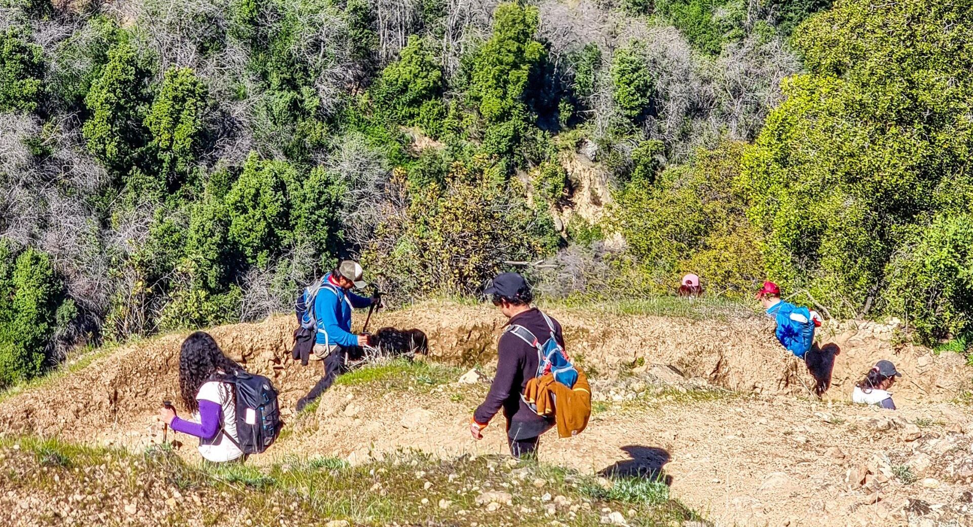 Encuentro con los Cerros: Nidos de Piedras Te Invita