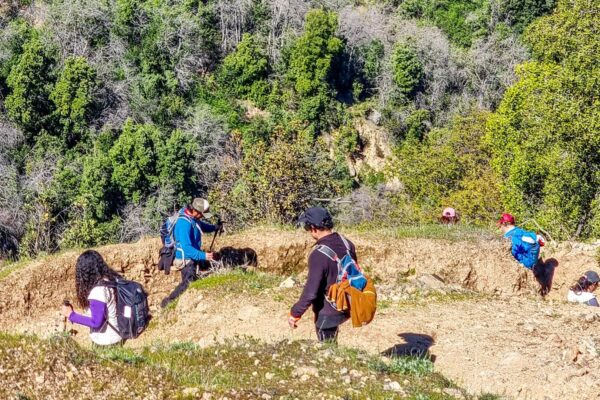 Encuentro con los Cerros: Nidos de Piedras Te Invita
