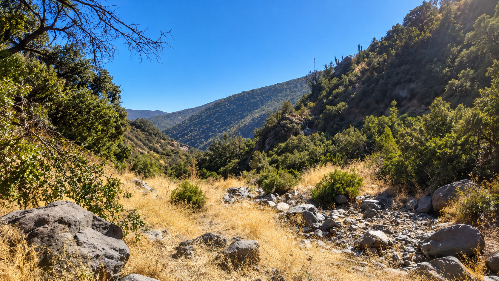 Quebradas y aluviones: más que un peligro