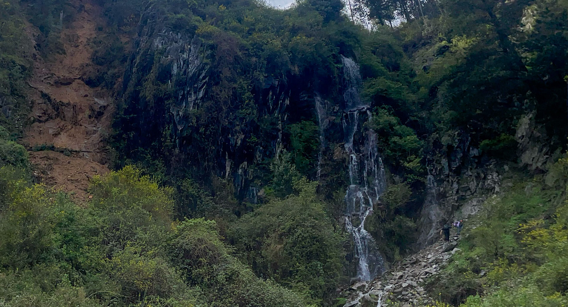 «Raíces del Manquimávida» Reconociendo la Flora de Nuestros Cerros