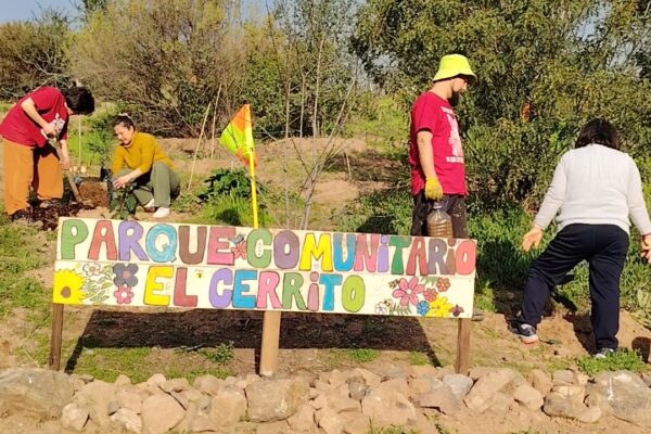 «Proyecto Milpa» Cultivo Ancestral