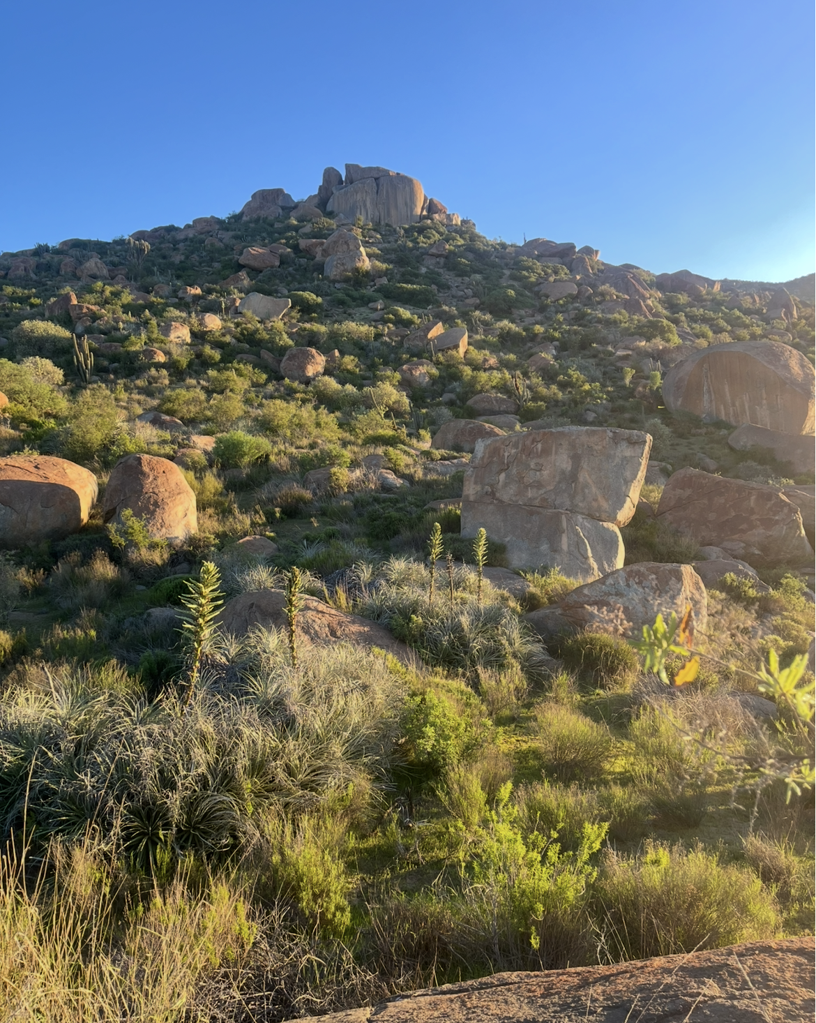 Recorriendo el «Cerro piedra» Apu tutelar del Valle de Punitaqui