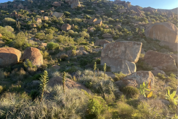Recorriendo el «Cerro piedra» Apu tutelar del Valle de Punitaqui