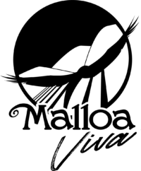 Fundación Malloa Viva
