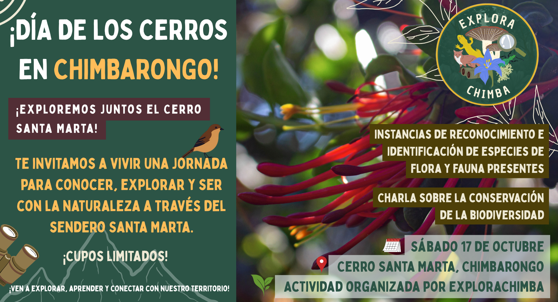 Jornada de Educación Ambiental y Conexión con la Naturaleza