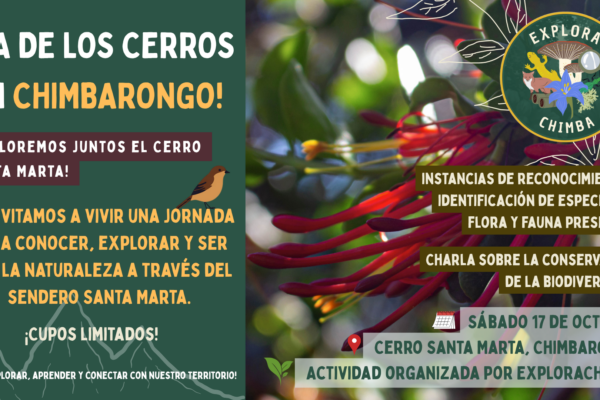 Jornada de Educación Ambiental y Conexión con la Naturaleza