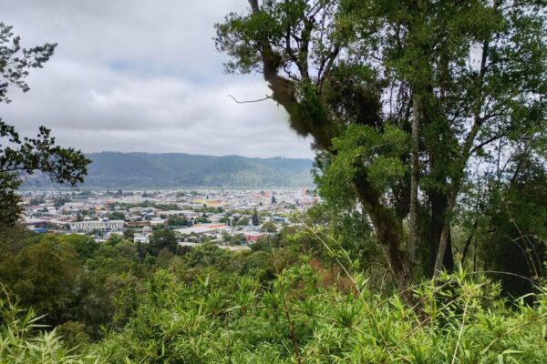 «Alimentación Mapuche y saberes del territorio» recolección y alimentos locales