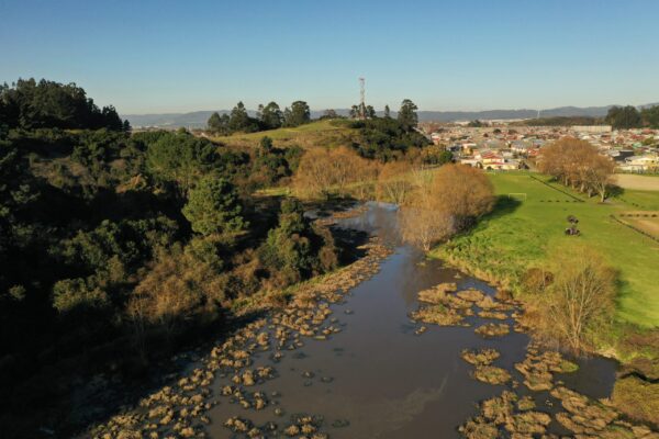 «Cerro, humedal y ciudad» descubriendo el Parque Ecológico de Talcahuano
