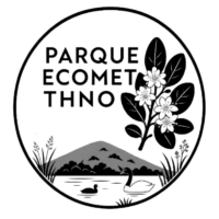 Parque Ecológico Metropolitano para Talcahuano