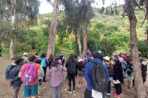 Feria Cultural y Ambiental en el Pukara de Chena