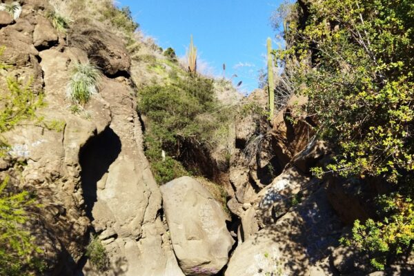 La ruta escondida