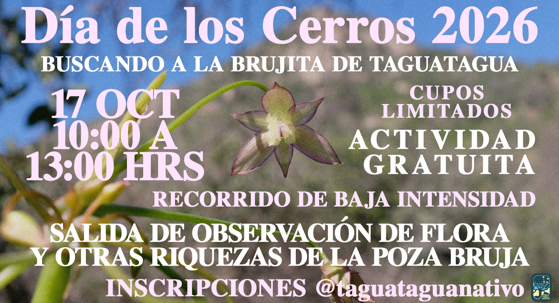 Buscando a la Brujita de Taguatagua