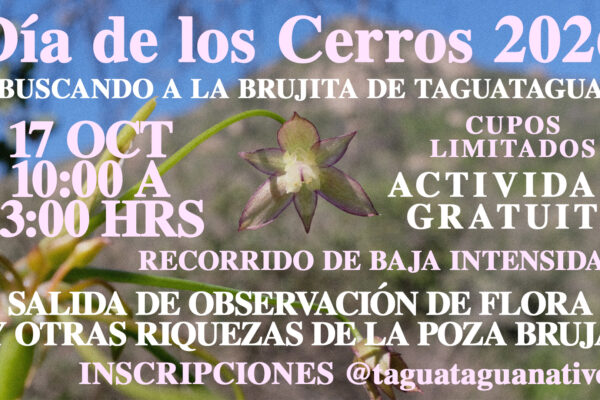 Buscando a la Brujita de Taguatagua